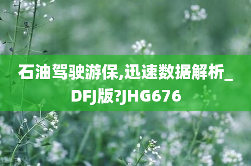 賽馬比賽2017，激情與榮耀的賽場盛宴