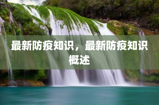 韓國明星文化的獨(dú)特解讀與影響