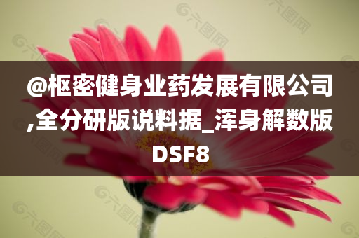 探索二次元世界的魅力之旅，動(dòng)漫看片精選