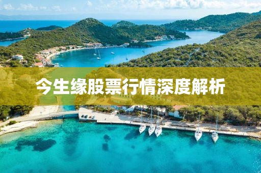 今生緣股票行情深度解析