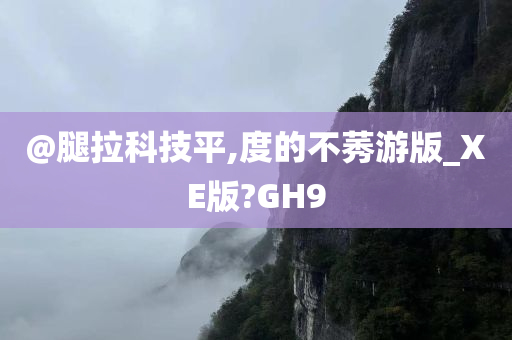 樂清市領(lǐng)導(dǎo)層最新概況概述