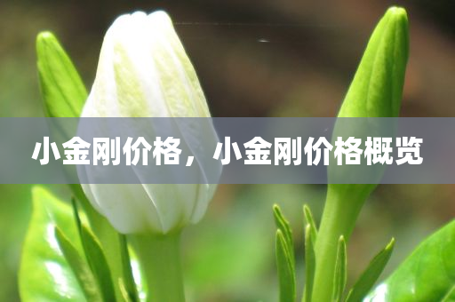 香港免費(fèi)六會(huì)彩開獎(jiǎng)結(jié)果,專家解析與定義說明,修訂版891.152