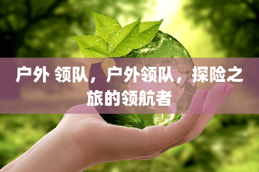 澳門天天彩精準免費資料大全,深入挖掘登降數(shù)據(jù)的應用潛力,家庭影院套裝TD13.294