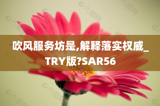 電影鞭炮，光影交織中的熱鬧與情感盛宴