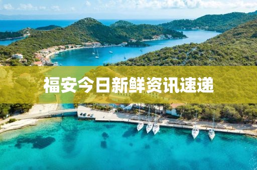 福安今日新鮮資訊速遞
