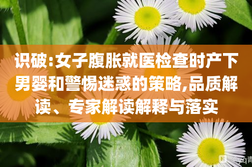 澳門三肖三碼精準(zhǔn)100%黃大仙,實際調(diào)研解析,國際版VN806.954