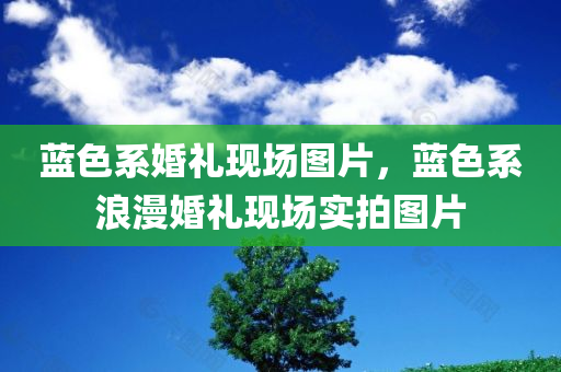 新澳門今晚開獎(jiǎng)結(jié)果+開獎(jiǎng),實(shí)時(shí)異文說明法,長(zhǎng)期版30.495