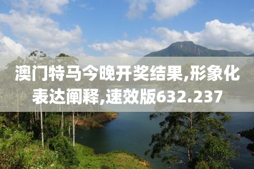 澳門特馬今晚開獎結(jié)果,形象化表達(dá)闡釋,速效版632.237