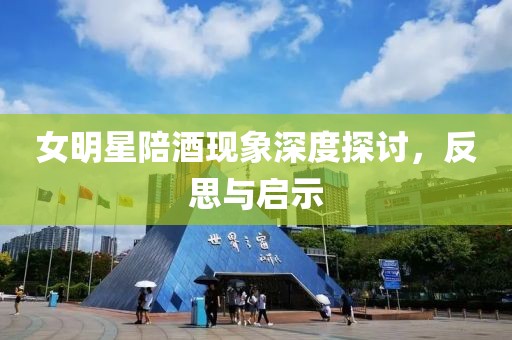 女明星陪酒現(xiàn)象深度探討，反思與啟示