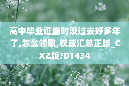 女排最新積分榜群雄逐鹿，誰將榮登榮耀之巔？