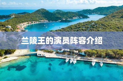 蘭陵王的演員陣容介紹