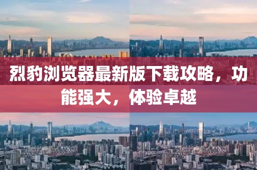 烈豹瀏覽器最新版下載攻略，功能強大，體驗卓越