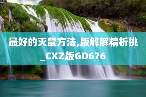 純種松獅犬價(jià)格行情深度解析，市場走勢與價(jià)格分析