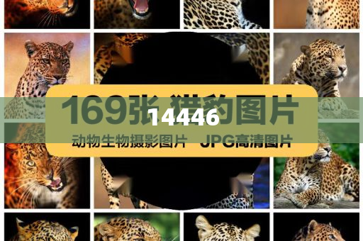 消滅星星2015最新版，游戲魅力與下載攻略