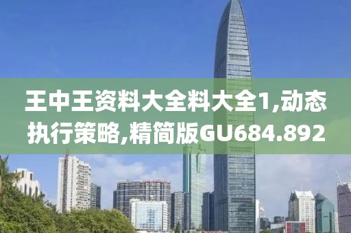 王中王資料大全料大全1,動態(tài)執(zhí)行策略,精簡版GU684.892