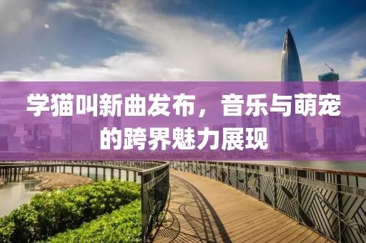 學(xué)貓叫新曲發(fā)布，音樂與萌寵的跨界魅力展現(xiàn)