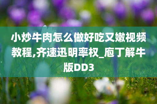 苗族的明星風采，閃耀的民族文化光芒