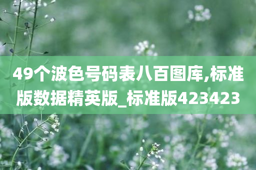 湖南省行政區(qū)劃調(diào)整重塑地理格局，助力地方發(fā)展新篇章