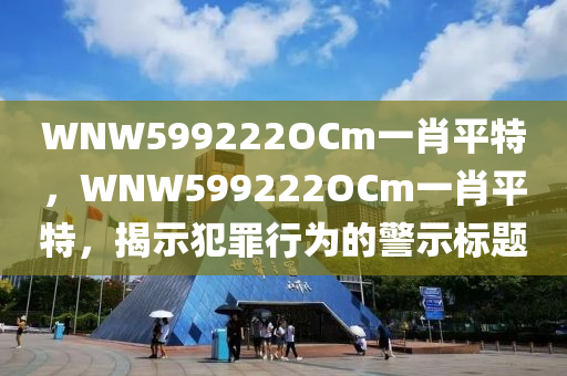 2024今晚開的四不像生肖圖,實施驗證方案,珍藏版50.592
