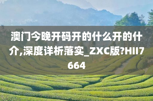 湖南模特比賽，璀璨舞臺，夢想起航之旅