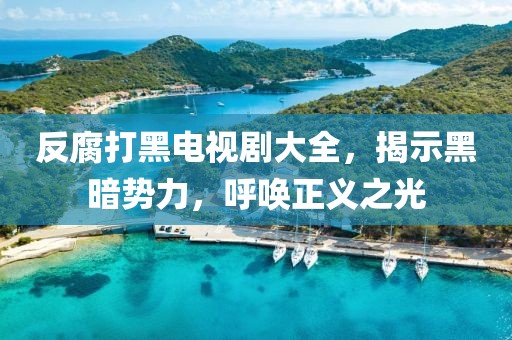 反腐打黑電視劇大全，揭示黑暗勢力，呼喚正義之光