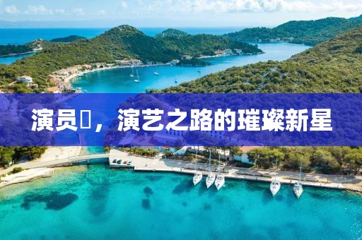 演員辻，演藝之路的璀璨新星