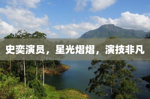 史奕演員，星光熠熠，演技非凡
