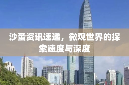 沙蚤資訊速遞，微觀世界的探索速度與深度