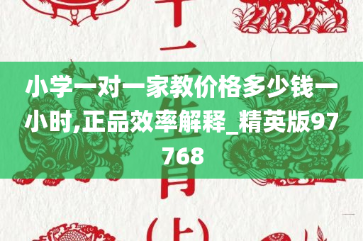 濟南副市長最新信息概述