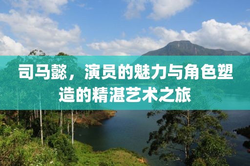 司馬懿，演員的魅力與角色塑造的精湛藝術(shù)之旅