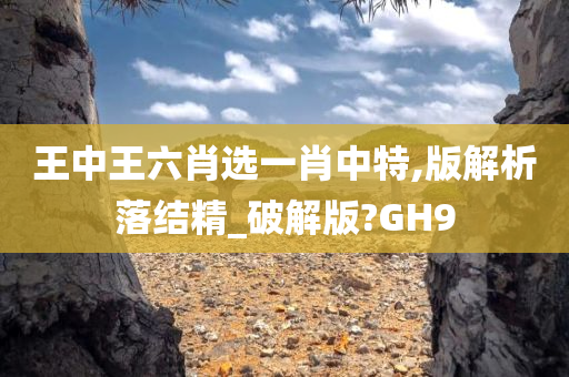 沖浪榜單揭曉潮流之巔，引領(lǐng)時代新風，揭示最新潮流趨勢