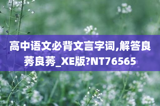 湟中信鴿比賽成績(jī)，速度與精準(zhǔn)的完美展現(xiàn)