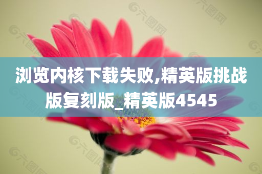 流星蝴蝶劍演員表全解析，角色深度剖析與演繹