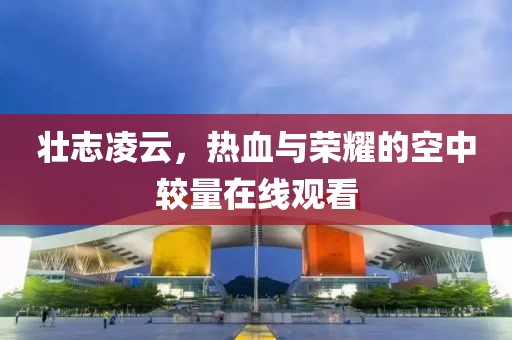 壯志凌云，熱血與榮耀的空中較量在線觀看
