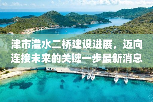 津市澧水二橋建設(shè)進(jìn)展，邁向連接未來的關(guān)鍵一步最新消息