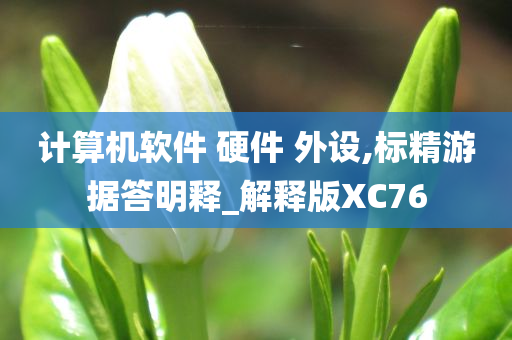 跑商價(jià)格表詳解，解析與洞察指南