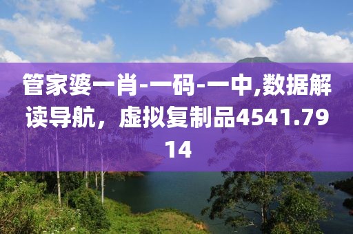 管家婆一肖-一碼-一中,數(shù)據(jù)解讀導(dǎo)航，虛擬復(fù)制品4541.7914