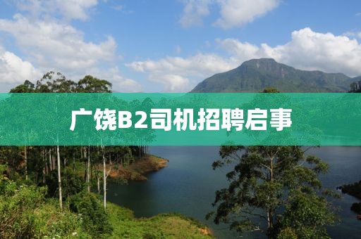 廣饒B2司機(jī)招聘啟事