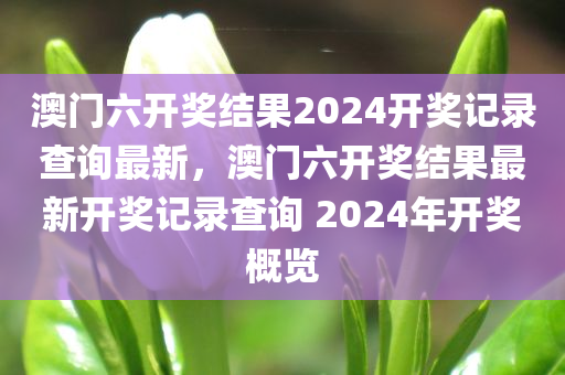 管家一肖100%正確,優(yōu)化執(zhí)行策略，文化視界1685.0663