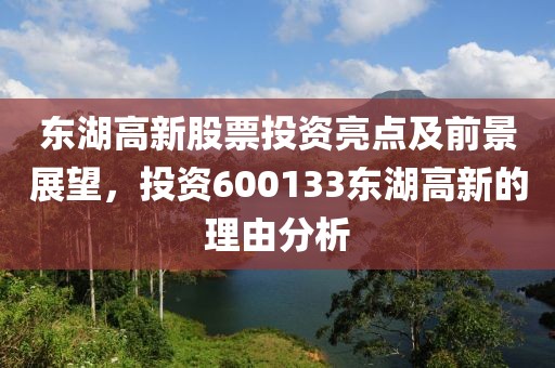 東湖高新股票投資亮點(diǎn)及前景展望，投資600133東湖高新的理由分析
