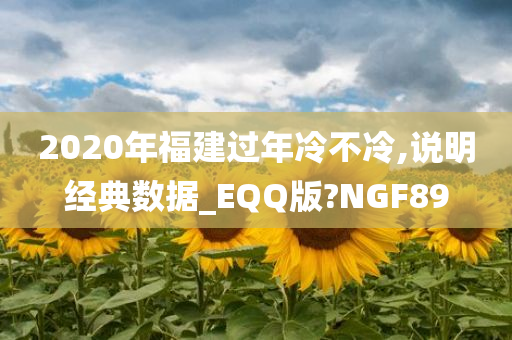 漯河上市公司，繁榮與機遇的交匯點探索