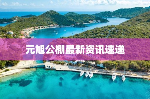 元旭公棚最新資訊速遞