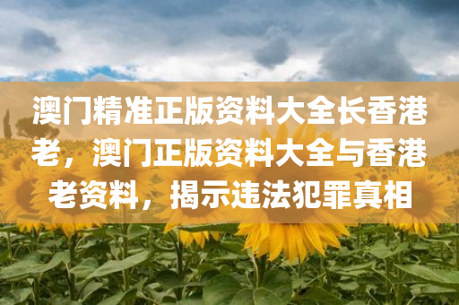 2O24年澳門今晚開碼料,城鄉(xiāng)規(guī)劃與發(fā)展研究，線上版WH298.0315