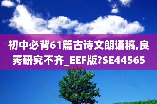 長常高速實(shí)時(shí)路況分析與觀察報(bào)告
