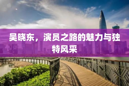 吳曉東，演員之路的魅力與獨(dú)特風(fēng)采