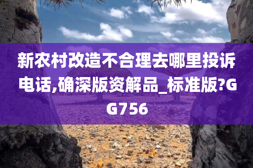 維爾德拳王最新動(dòng)態(tài)，賽場(chǎng)內(nèi)外的風(fēng)云變幻揭秘