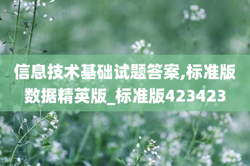女主播揭秘哈士奇萌態(tài)，探索神秘萌寵世界的精彩瞬間