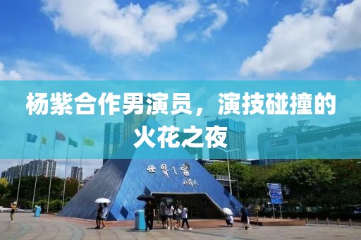 楊紫合作男演員，演技碰撞的火花之夜
