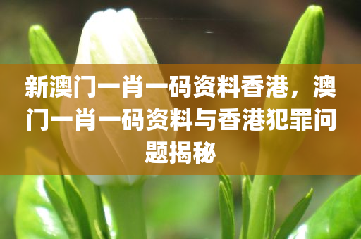 新澳門免費(fèi)全年資料查詢,信息定義的深入探討，全平臺(tái)通用版FH2845.3775
