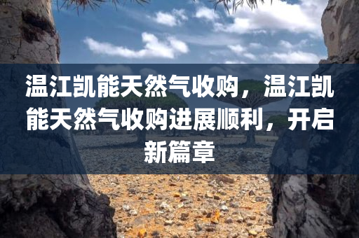 六和彩資料有哪些網(wǎng)址可以看,實例研究分析，速遞版TO3067.9703
